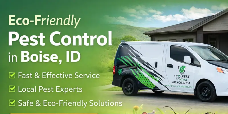 Why Eco Pest Control is Boise’s Trusted Choice for Fast, Local Expertise